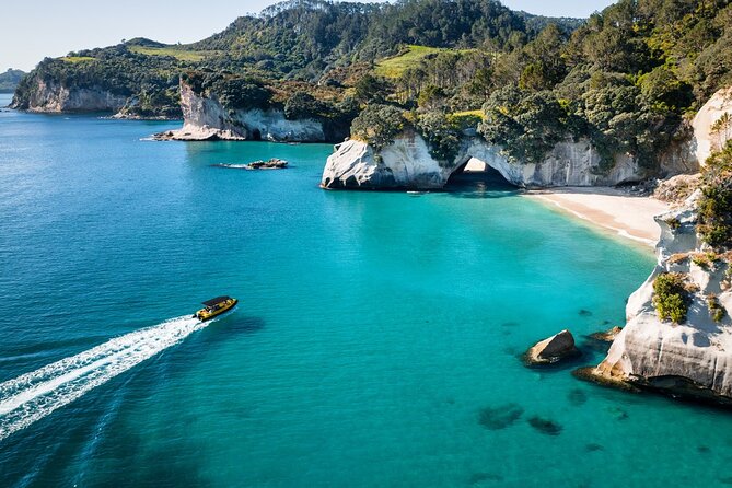 2 Hour Cathedral Cove and Volcanic Coast Cruise with Shade Canopy - Key things to know before you board