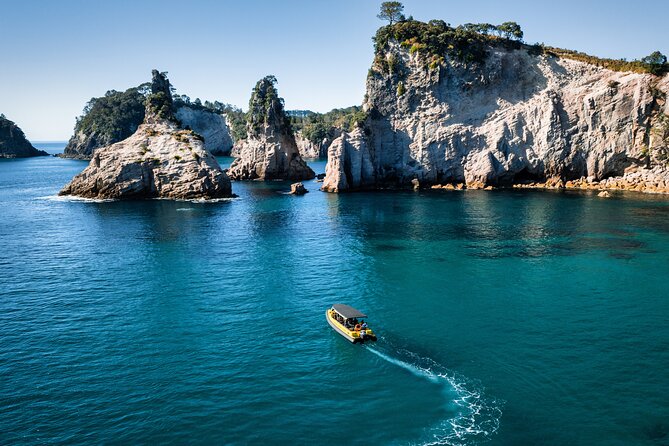 2 Hour Cathedral Cove and Volcanic Coast Cruise with Shade Canopy - Hahei and the offshore islands