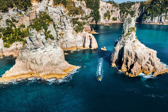 2 Hour Cathedral Cove and Volcanic Coast Cruise with Shade Canopy - Guides who add more than directions