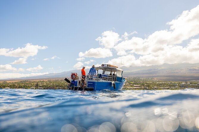 2-Tank Dive Featuring the Molokini Crater - Why Molokini Crater makes the morning worthwhile