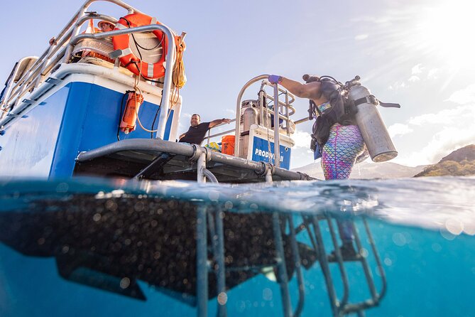 2-Tank Dive Featuring the Molokini Crater - The second underwater site adds useful variety