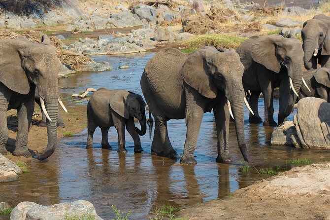 3-Day Camping Safari Tarangire, Lake Manyara & Ngorongoro crater - Ngorongoro Crater: the most concentrated wildlife day