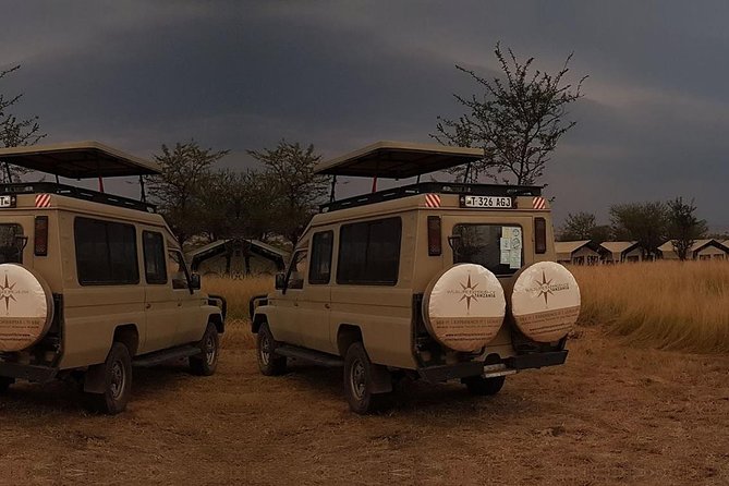3 Day Lake Manyara, Ngorongoro crater, Tarangire Safari - Why this short safari works from Arusha