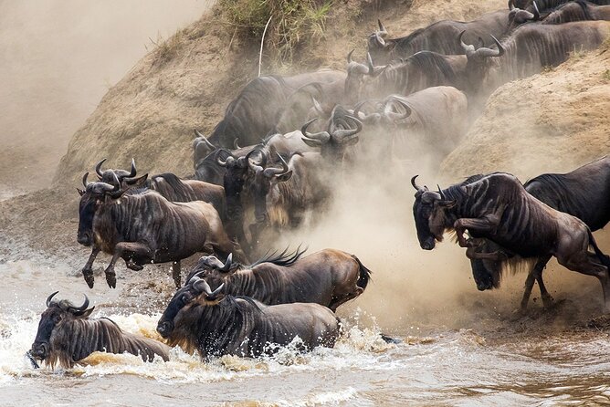 3 Day Lake Manyara, Ngorongoro crater, Tarangire Safari - What the $750 price really covers