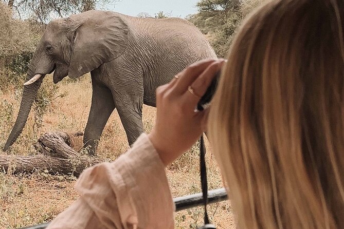 3-Day Manyara, Tarangire and Ngorongoro Crater - Key things to know before booking