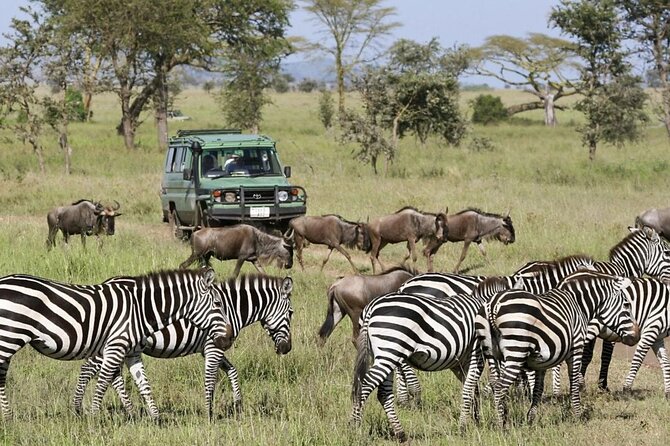 3-Day Ngorongoro Crater Manyara and Tarangire Safari from Arusha - Key points to know before booking