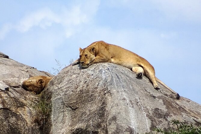 3-Day Ngorongoro Crater Manyara and Tarangire Safari from Arusha - Small details that make the booking easier