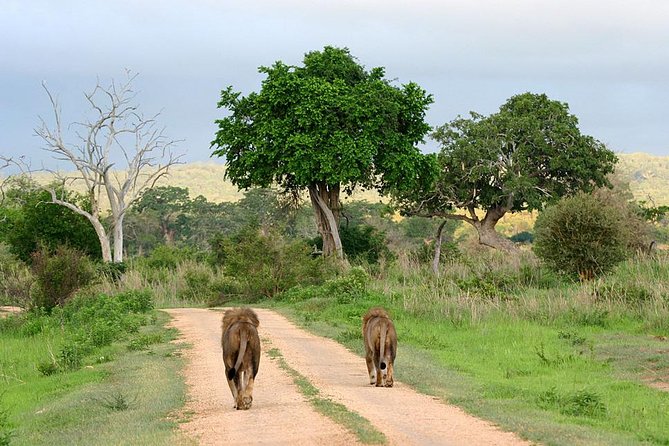 3-Day Safari Tour to Tarangire National Park, Lake Manyara National Park and Ngorongoro Crater from Arusha - Lodge comfort and the small practical details