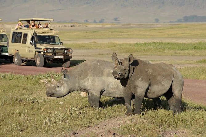 3-Day Safari Tour to Tarangire National Park, Lake Manyara National Park and Ngorongoro Crater from Arusha - Should you book this safari?