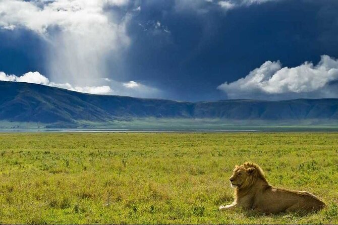3 Day Sharing Safari - Manyara, Ngorongoro Crater and Tarangire National Parks - Key Things To Know Before Booking