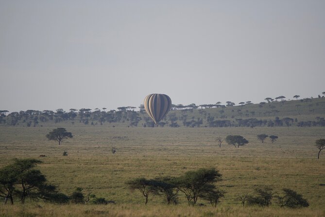 3 Day Sharing Safari - Manyara, Ngorongoro Crater and Tarangire National Parks - The Guide Can Shape the Whole Safari
