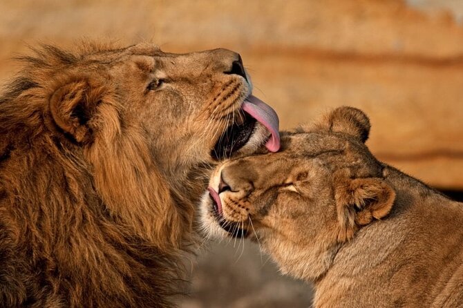 3 Day Sharing Safari - Manyara, Ngorongoro Crater and Tarangire National Parks - Who Should Book This Safari?