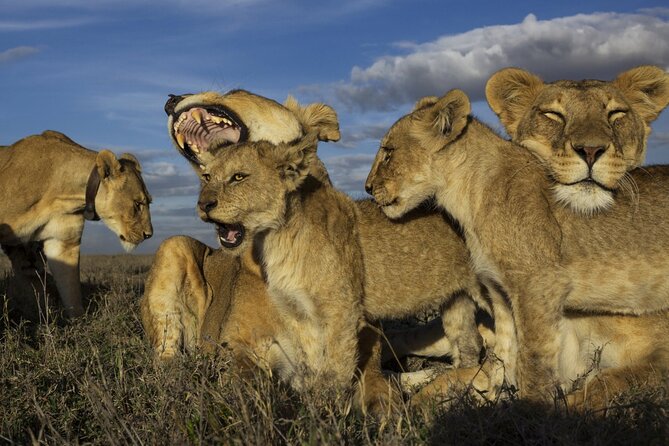 3 Day Tanzania Serengeti & Ngorongoro Crater Safari - Why this safari works as a short Tanzania trip
