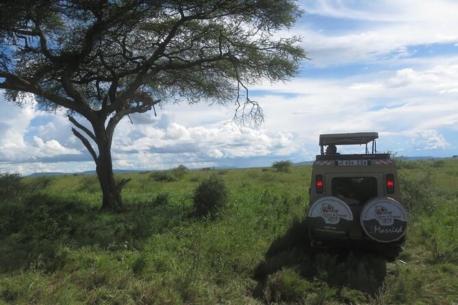 3 Day Tanzania Serengeti & Ngorongoro Crater Safari - What the $2,150 price includes
