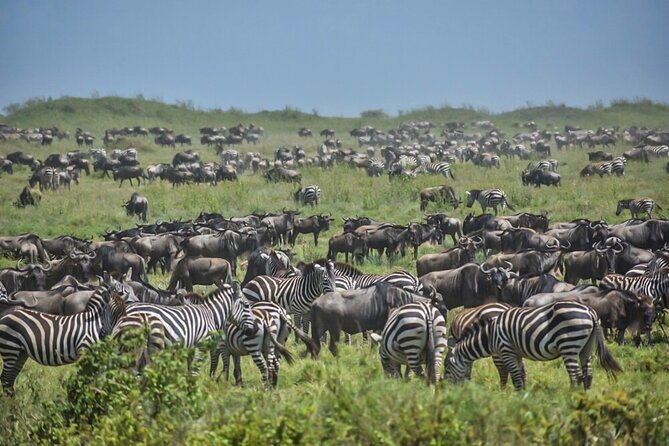 3-Day Tarangire, Ngorongoro Crater, Manyara Park - Practical questions to settle before departure