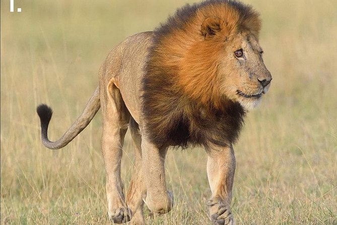 3-Day Tarangire NP, Manyara NP & Ngorongoro Crater - Day three: Lake Manyara, forests, waterfalls, and a late return