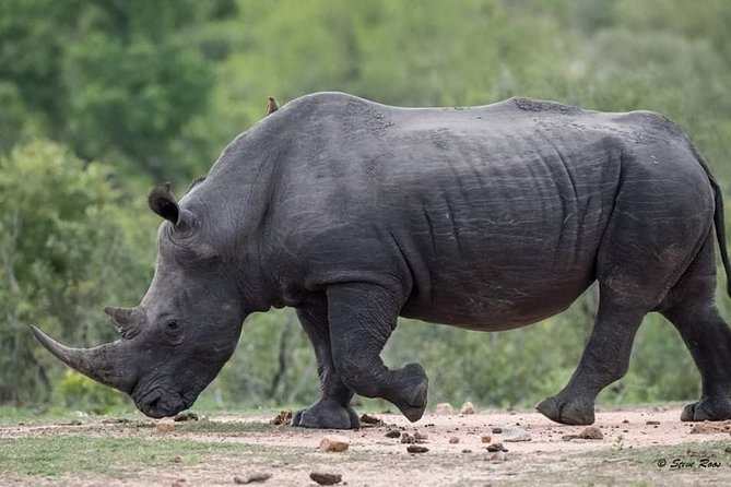 3-Day Tarangire NP, Manyara NP & Ngorongoro Crater - What the $830 price covers