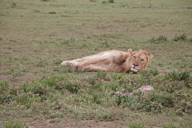 3-Day Tarangire NP, Manyara NP & Ngorongoro Crater - Guides, cooks, and the human side of the trip