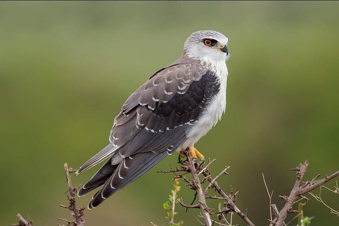 3-Day Tarangire NP, Manyara NP & Ngorongoro Crater - Who should book this three-day safari?