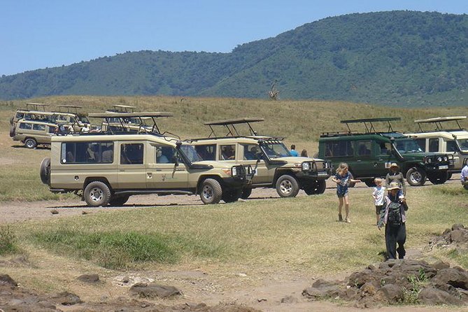3-Day Taste of Tanzania Safari (Tarangire National park and Ngorongoro Crater) - What this short Tanzania safari is really offering