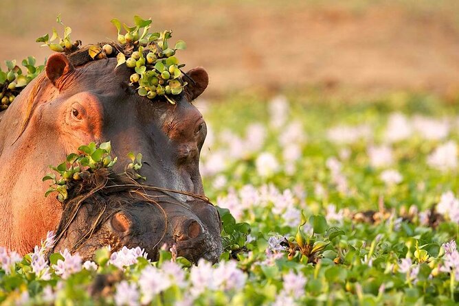 3-Day Taste of Tanzania Safari (Tarangire National park and Ngorongoro Crater) - The overnight stop near Karatu