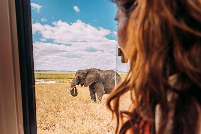3-Day Taste of Tanzania Safari (Tarangire National park and Ngorongoro Crater) - Practical details to settle before departure