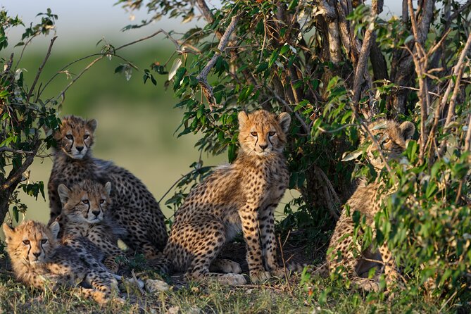 3 Day tour Tarangire, Ngorongoro crater & Lake Manyara - Why this three-day route works
