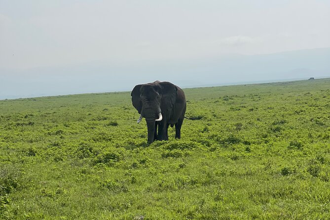 3 Day tour Tarangire, Ngorongoro crater & Lake Manyara - What the $705 price covers