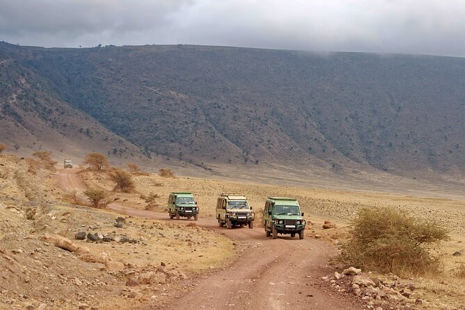 3 Day tour Tarangire, Ngorongoro crater & Lake Manyara - Day 1: Tarangire’s baobabs and elephant country