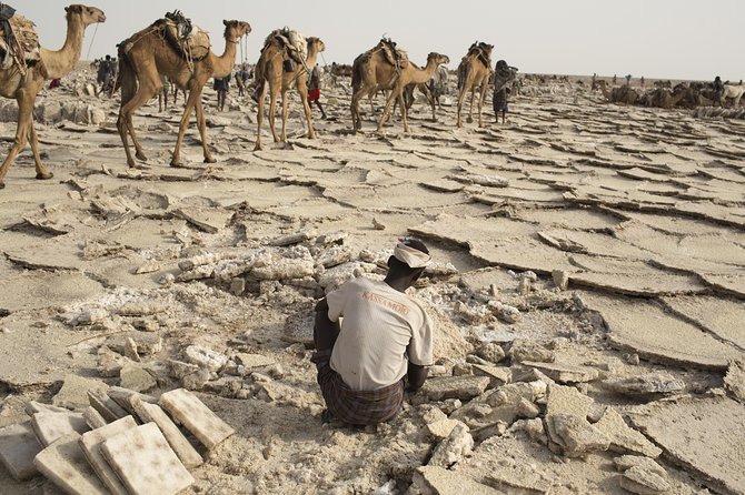 3 Day Tour to the Danakil Depression, Dallol, and Earta'le Volcano - Comfort, safety, and practical limits