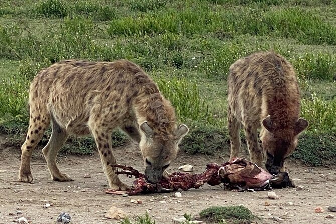 3-Days Arusha National Park-Tarangire park - Ngorongoro Crater - What the $850 price means in practice