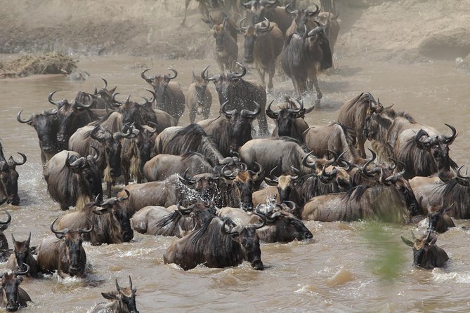 3 Days Camping Safari Tarangire, Lake Manyara and Ngorongoro Crater - Who should book this safari?
