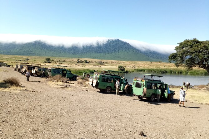 3 Days Exploring Serengeti & Ngorongoro Crater from Arusha - What is covered, and what can add to the cost