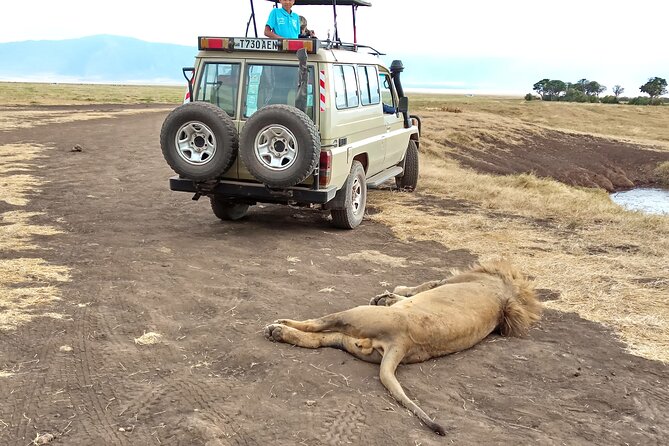 3 Days Exploring Serengeti & Ngorongoro Crater from Arusha - Should you book it?