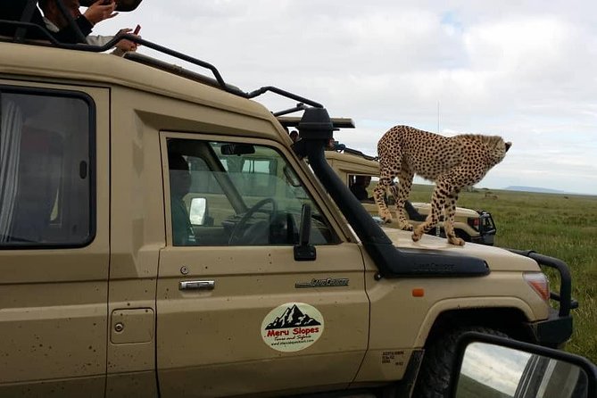 3 Days Lake Manyara, Ngorogoro Crater, Tarangire National Park - Day three: the schedule needs a quick check