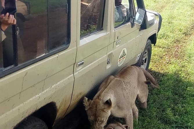 3 Days Lake Manyara, Ngorogoro Crater, Tarangire National Park - Mto wa Mbu adds people to the itinerary