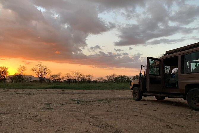 3 Days Lake Manyara, Tarangire, Ngorongoro Crater group (Camping) - Day Three: Lake Manyara and the Return to Arusha