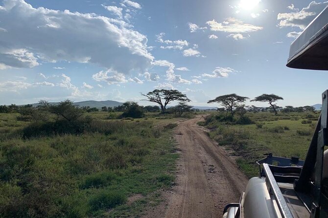 3 Days Lake Manyara, Tarangire, Ngorongoro Crater group (Camping) - How the $700 Price Holds Up