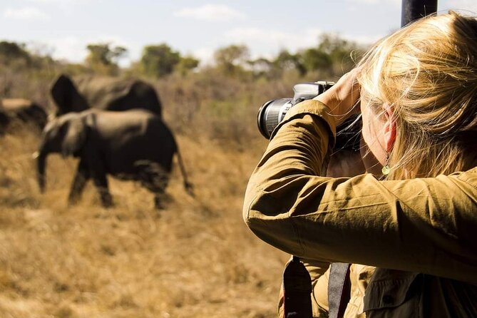 3-Days Lodge Safari in Tarangire, Ngorongoro Crater & Lake Manyara - Guides, private transport, and the pace