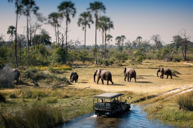 3-Days Lodge Safari in Tarangire, Ngorongoro Crater & Lake Manyara - Day one: Tarangire’s elephants and baobabs