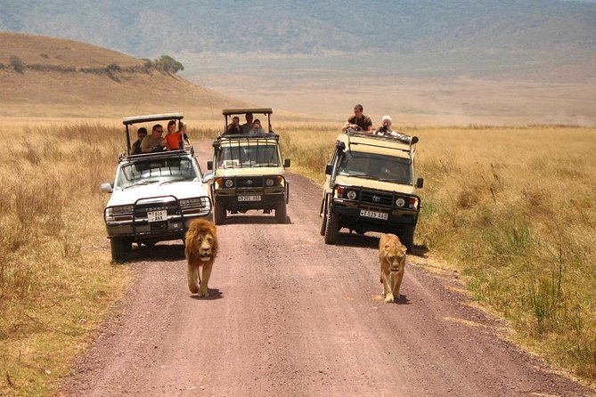 3 Days of Camping Bliss in Serengeti and Ngorongoro Crater - Day 3: Ngorongoro Crater and the drive back to Arusha
