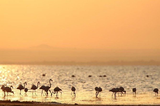 3 Days of Camping Bliss in Serengeti and Ngorongoro Crater - Who should book this trip