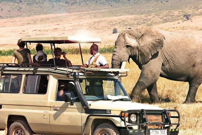 3 Days of Camping Bliss in Serengeti and Ngorongoro Crater - What to clarify before paying