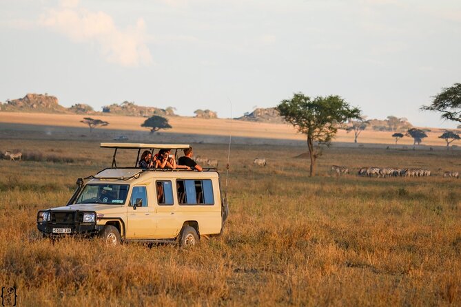 3 Days Safari Ngorongoro Crater and Serengeti National Park - Day two: Moru Kopjes, elephants, and Seronera country