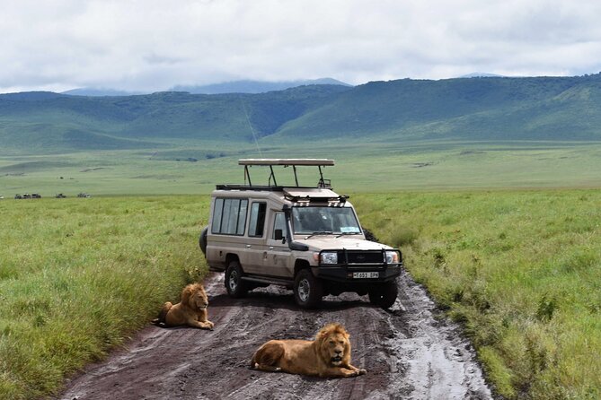 3 Days Safari Ngorongoro Crater and Serengeti National Park - Day three: descending into Ngorongoro Crater