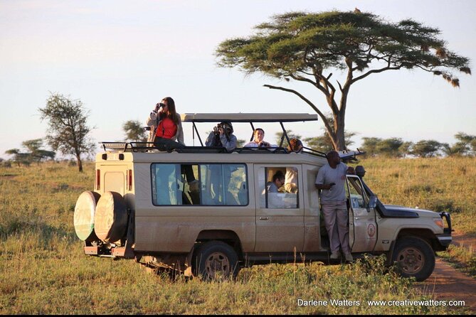 3 Days Safari Ngorongoro Crater and Serengeti National Park - What you might see, and what you should not expect