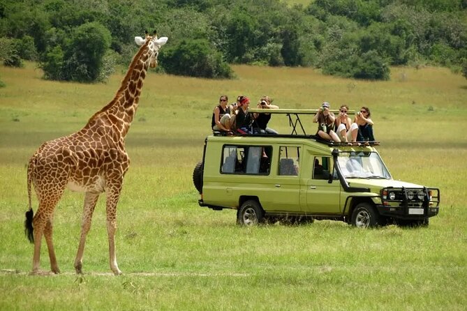 3 Days Safari Ngorongoro Crater and Serengeti National Park - Camping, food, and daily comfort