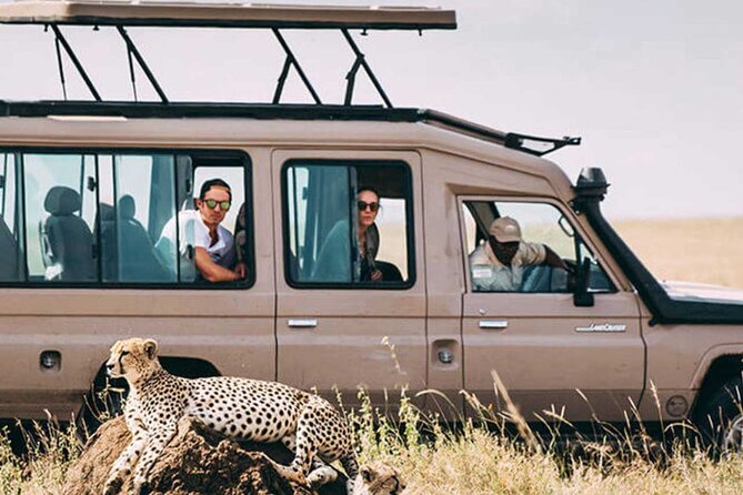 3 Days Safari Ngorongoro Crater and Serengeti National Park - Is $810 a fair price?