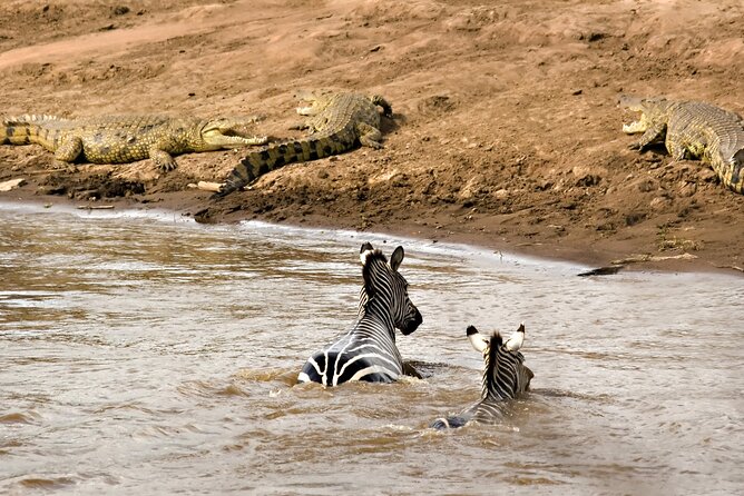 3 Days Safari Serengeti & Ngorongoro Crater - The guide and chef can shape the whole trip