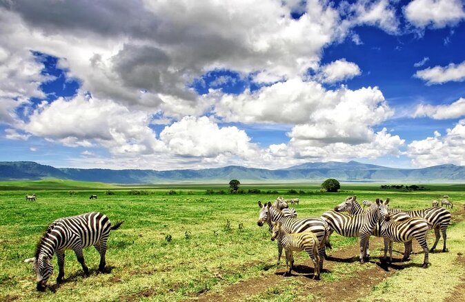 3 Days Safari to Serengeti National Park & Ngorongoro Crater in Tanzania - The trip in five useful points